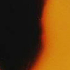 Tortoiseshell